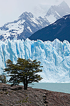 冰,莫雷诺冰川,阿根廷湖,区域,巴塔哥尼亚,阿根廷,南美,拉丁美洲,北美