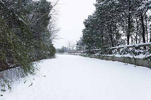 岳麓山雪景