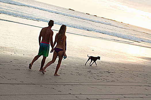 情侣,漫步,牵手,海滩,哥斯达黎加