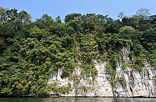 危地马拉,雨林,悬崖