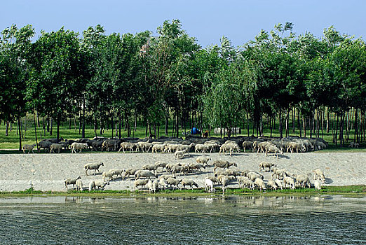 天津北运河风景