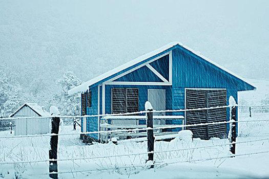 木房子,雪中