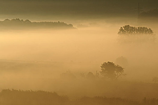 秋天,雾,靠近,黑森州,德国,欧洲