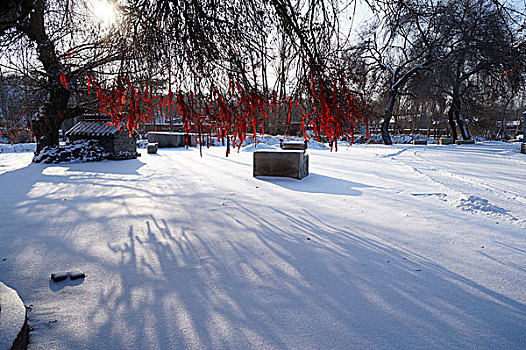 雪景,庙宇,雪,除雪