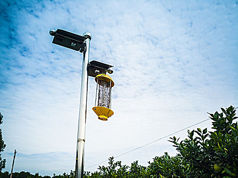 绿色生态种植物理果园太阳能灭蚊杀虫灯