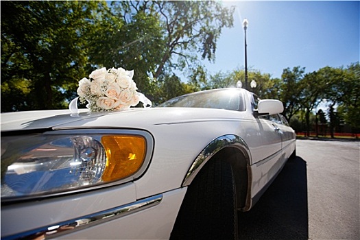 新娘手花,汽车