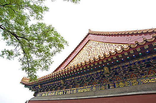 北京,颐和园,建筑,古迹,文明,历史,遗存,园林,皇家,气派,楼阁,飞檐