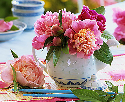 小,花,牡丹,茶壶