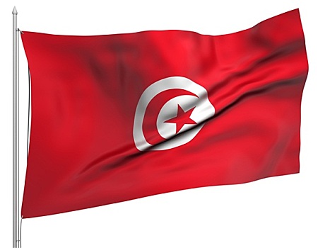 飞,旗帜,突尼斯,国家