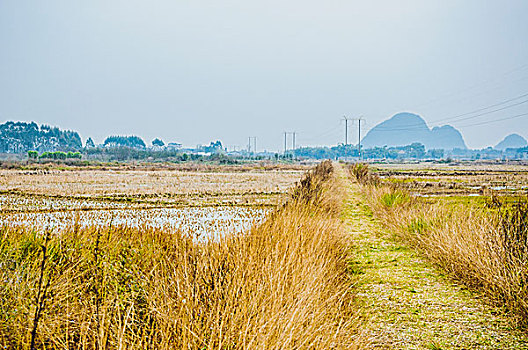 田园秋色