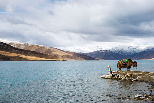 新藏线,自驾,旅游,冬季