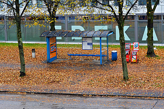公交车站,围绕,秋叶,雨,海尔拉赫因,慕尼黑,巴伐利亚,德国,欧洲