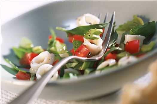 鱿鱼沙拉,西红柿,芹菜