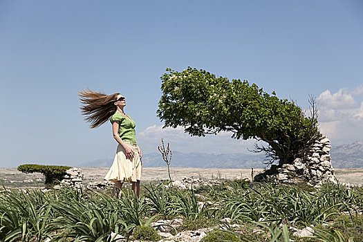 女人,风吹,毛发,树