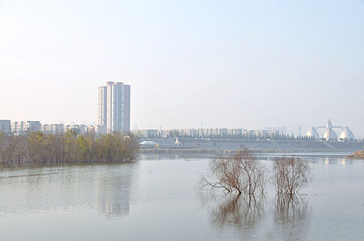 西安,灞河湿地