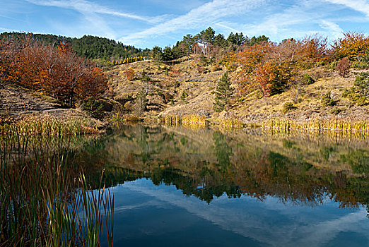 湖,秋日树林