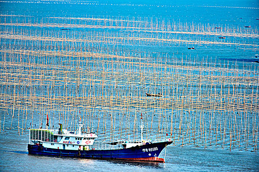 福建霞浦,海,渔船,劳作