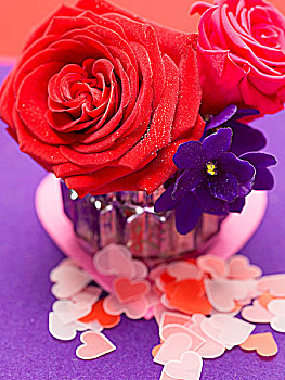 红玫瑰,非洲,紫罗兰,花瓶,纸