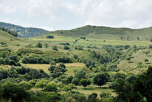 承德坝上,一号风景大道,美丽风景