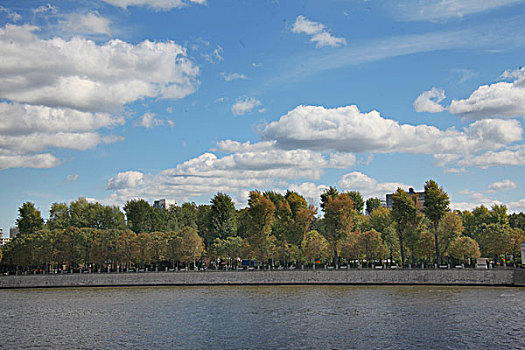莫斯科河两岸树林