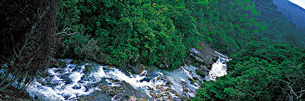 河流,苏格兰帽,公园,香港