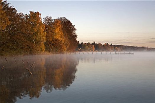 薄雾,上方,湖,黎明,木质,码头,巴伐利亚,德国,欧洲