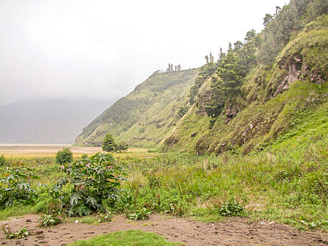 婆罗摩火山,爪哇