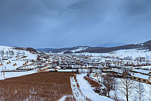 二合舒兰雪乡玉米