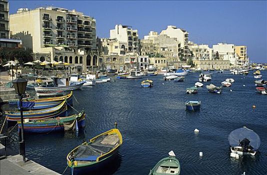 渔船,港口,瓦莱塔,马耳他
