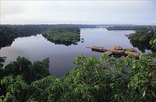 旅游,住宿,亚马逊河,巴西