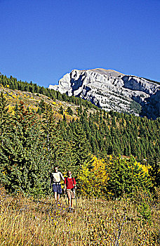 远足者,秋色,加拿大,落矶山,不列颠哥伦比亚省