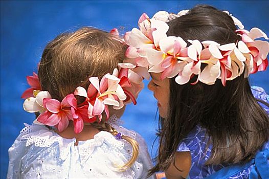 两个女孩,鸡蛋花,花环,后视图,蓝色背景
