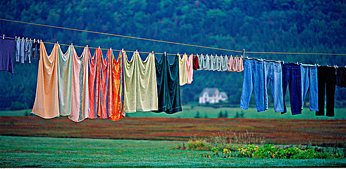 洗衣服,晾衣服