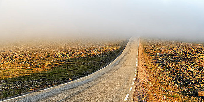 道路,荒芜,高原,欧洲,路线,雾,子夜太阳,北角,岛屿,挪威