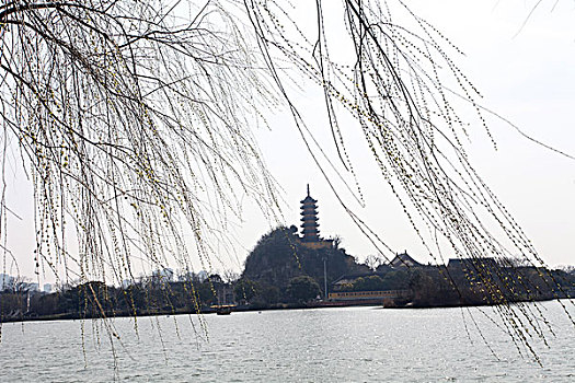 镇江,金山寺,建筑,宗教,圣地,遗址,历史,文化景区,旅游,房子,传说,故事,塔