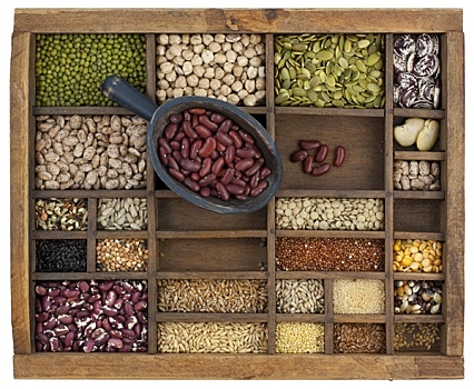 舀具,红云豆,品种,谷物,种子