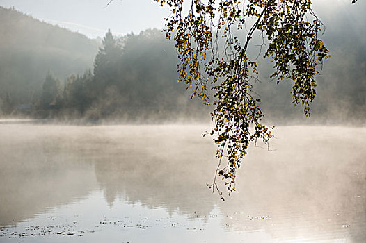 模糊,湖