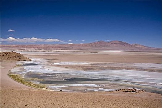 盐湖,荒芜,阿根廷,南美