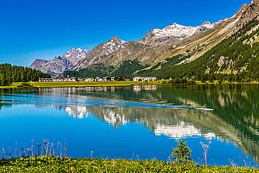 泛舟,湖,晴天,乡村,阿尔卑斯山,背景,靠近,圣莫里茨,瑞士