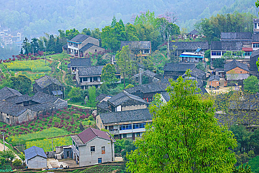 梯田,山村,春意