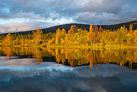 秋日风光,反射,三角洲,河,国家公园,拉普兰,瑞典,欧洲