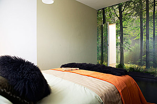 双人床,面对,墙壁,遮盖,照片,树林,场景