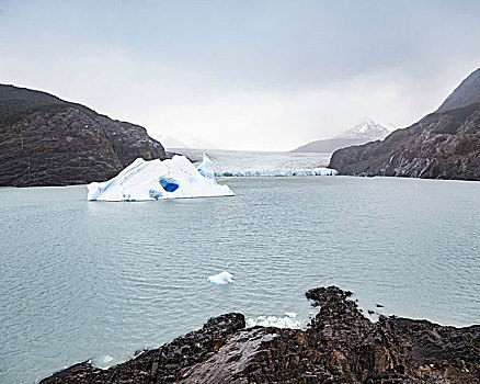 冰山,漂浮,灰色,湖,冰河,托雷德裴恩国家公园,智利