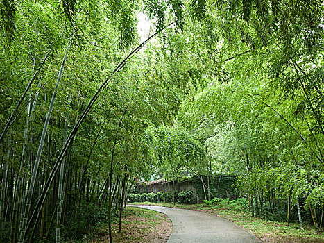 中山植物园