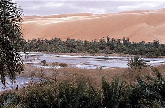 沙丘,干燥,干旱,撒哈拉沙漠,利比亚,非洲