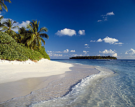 热带海岛,海滩风景,岛屿,马累环礁,马尔代夫,印度洋