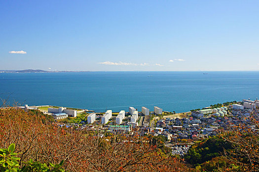 风景,观测,植物园,福冈,日本