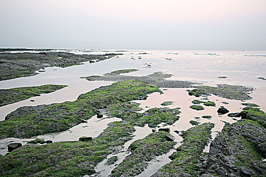 日照海景