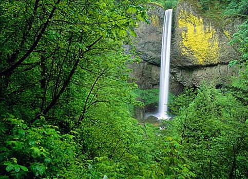 拉图来尔瀑布,哥伦比亚河峡谷,俄勒冈,美国