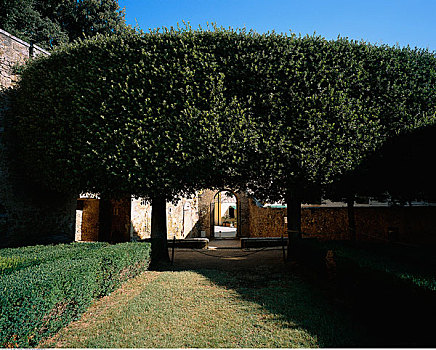 树,正规花园,圣奎里克,意大利